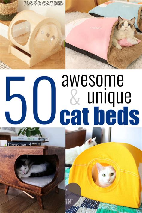 50 Awesome And Unique Cat Beds Your Cat Wants Today