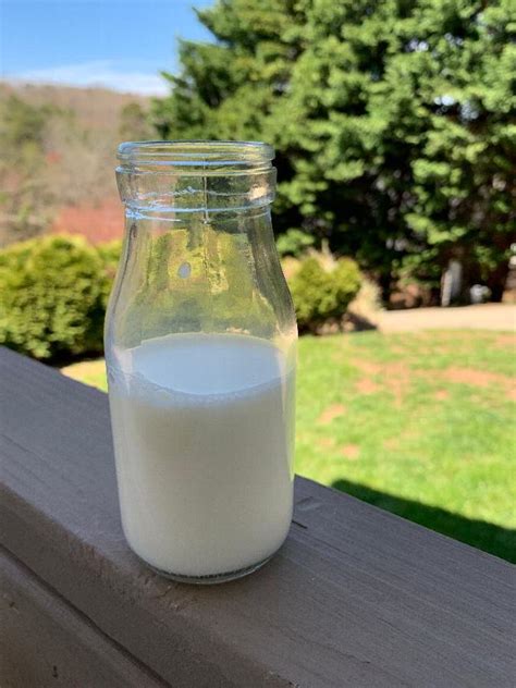 Acopa 10 Oz Glass Milk Bottle 12 Case