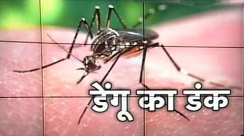 गुरुग्राम में डेंगू का कहर 45 केस मिलने के बाद एक्शन में आया स्वास्थ्य विभाग Dengue Continues