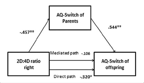 T Mediates The Relationship Between Masculinized 2d4d Ratio And