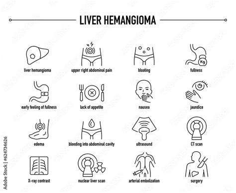 Liver Hemangioma symptoms, diagnostic and treatment vector icon set. Line editable medical icons ...