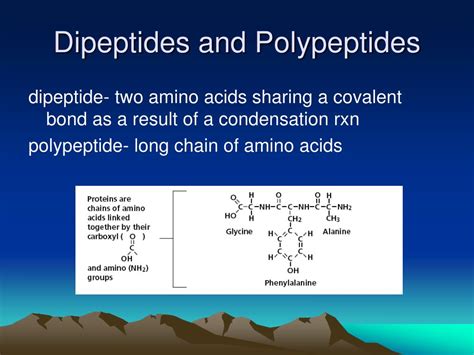 Ppt Biochemistry Powerpoint Presentation Free Download Id5746132