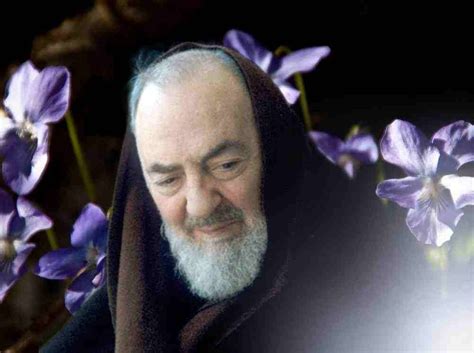 Padre Pio On Pope Pius Xii I Have Seen Him In Paradise”