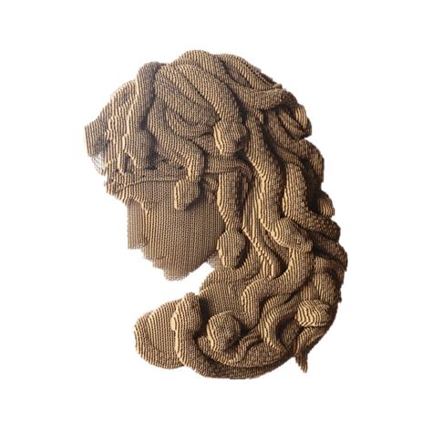 Medusa Bas Relief Diy Cardboard Culpture Diy Papercraft 3d Paper