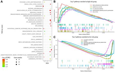 The Expression And Prognostic Value Of Disulfidptosis Progress In Lung