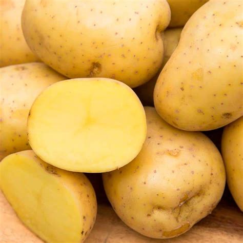 Gurneys Seed Potato Yukon Gold 2 Lb Package 74017 The Home Depot