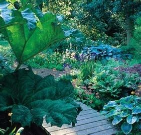 Beth Chatto S Woodland Garden Woodland Garden Amazing Gardens