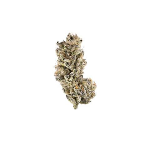 G Stick Rosado Fleur De CBD Sativa