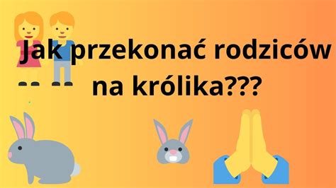 Jak przekonać rodziców na królika i YouTube