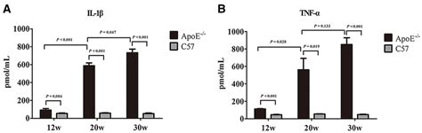 Serum Level Of Inflammatory Cytokines Of Animal Models A B Comparison