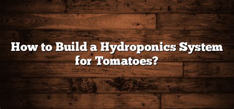 How to Build a Hydroponics System for Tomatoes? - Inter Culturalu