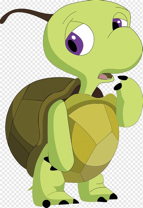 Tortoise Cartoon Characters Various Design