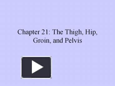 PPT Chapter 21 The Thigh Hip Groin And Pelvis PowerPoint