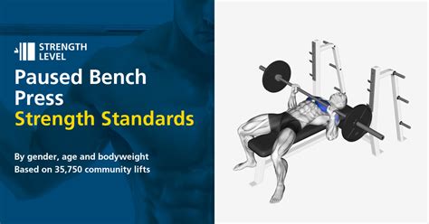 Paused Bench Press Standards For Men And Women Lb Strength Level