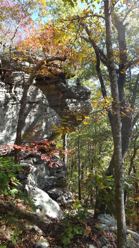 Turkey Ridge Campground — Ferne Clyffe State Park Goreville Il