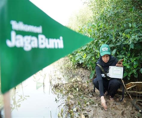 Telkomsel Jaga Bumi Tanam Pohon Di Kawasan Hutan Mangrove