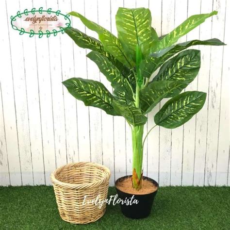 Promo Pohon Sri Rejeki Hijau Latex Artificial Cover Pot Keranjang Rotan