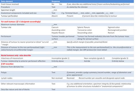 Structured Pathology Reporting Improves The Macroscopic Assessment Of