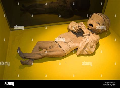 The Mummy Museum Museo De Las Momias In Guanajuato A World Heritage