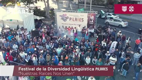 PILARES CDMX On Twitter Desde PILARES Resistimos Y Preservamos