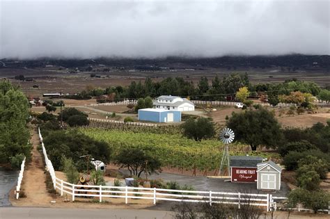 Bearing Fruit Vineyard Ramona Valley Vineyard Association