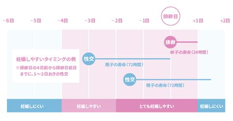 【医師監修】子作りを考える人の妊活はじめてガイド。タイミング法とは？エレビットの葉酸サプリは根拠がある葉酸800μg