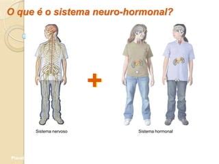 Sistema Neuro Hormonal Ppt