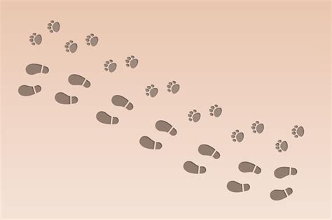 Des Empreintes De Chiens Ou De Chats Et De Chaussures Humaines Sur Le