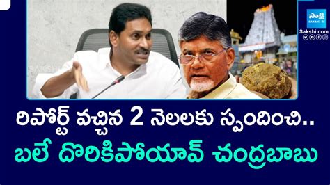 Chandrababu Comments On Tirumala Laddu Ys Jagan Counter Tirupati