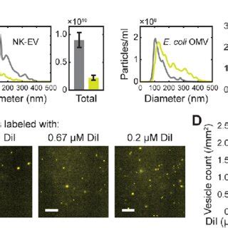 Applications Of Salt Change Labeling A Fluorescent Labeling Of