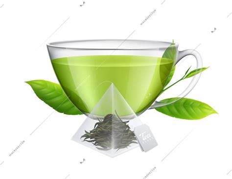 Tea Brewing Bag Realistic Composition Transparent Vector Illustration