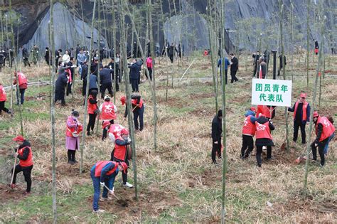 竹山县开展2021年义务植树护绿志愿服务活动 湖北文明网