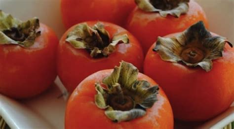 Persimmon Fruit and Benefits - NSF News and Magazine