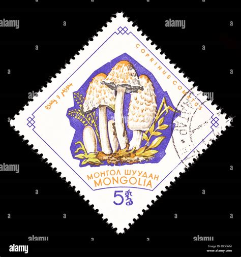 Postage Stamp From Mongolia Depicting A Shaggy Mane Mushroom Coprinus