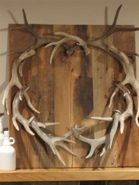 89 Best Antler Crafts Images On Pinterest Deer Antlers Antlers And Deer