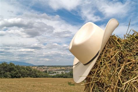 10 Best Straw Cowboy Hats That Feel (and Look) Cool - Horse Rookie