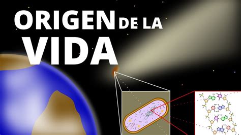 Teor As Del Origen De La Vida F Cil De Entender Biolog A Youtube