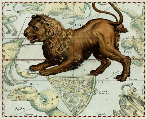 Leo Constellation Myths And Facts Under The Night Sky