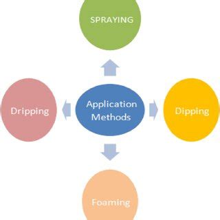 Application Of Edible Coating On A Fruit Through Immersion Method The