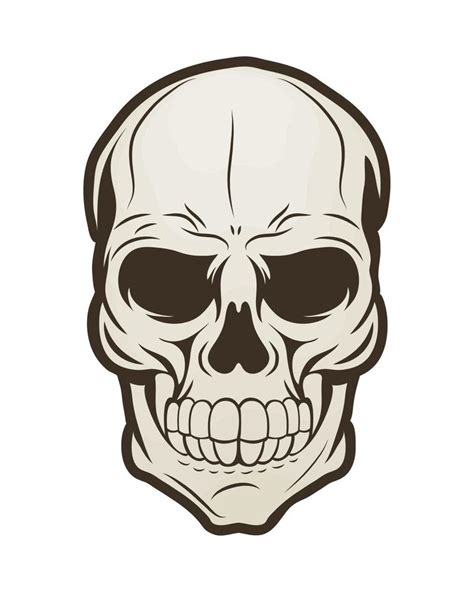 Skeleton Skull Head 10850034 Vector Art At Vecteezy