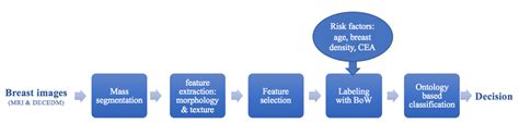 An Overview Of The Proposed Computer Aided Diagnosis Cad System Download Scientific Diagram