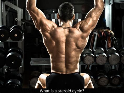 Professional Bodybuilder Steroid Cycle: The Best Way Professional ...