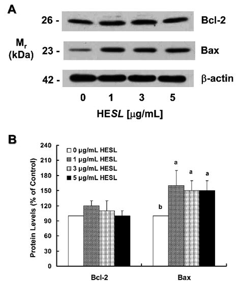 Effect Of The Hexane Extract Of Saussurea Lappa Hesl On The Protein