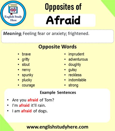 Antonyms Opposite Words Archives English Study Here