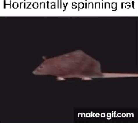 horizontally spinning rat on Make a GIF