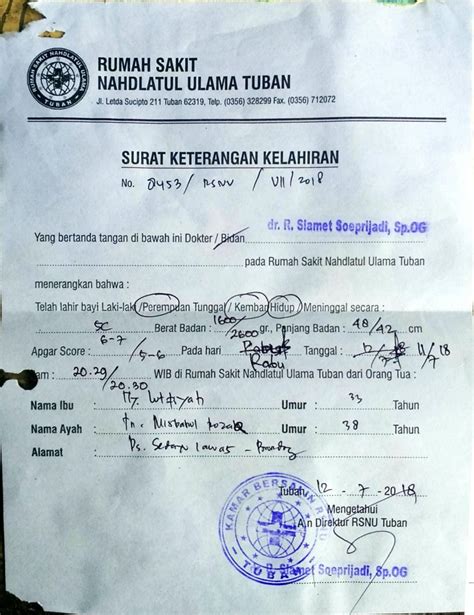 Surat Keterangan Kelahiran Contoh Surat