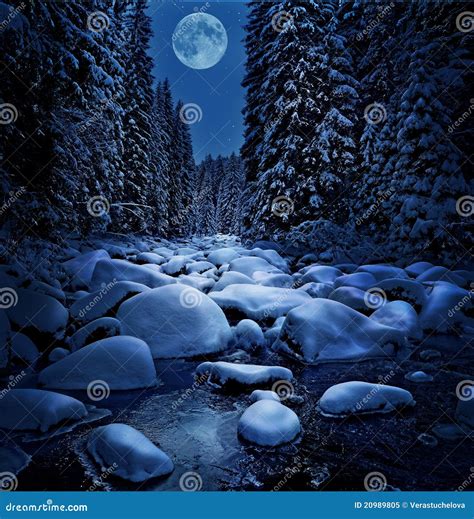 Beautiful Winter Night Stock Image Image Of Bright Frozen 20989805