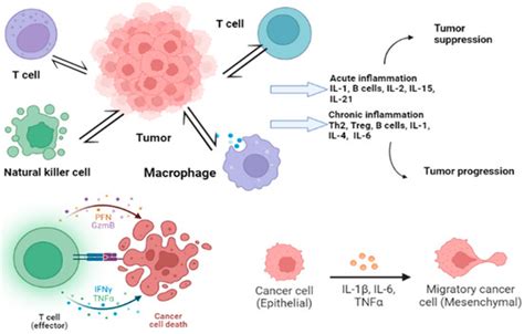 Jcm Free Full Text Interleukins Cytokines As Biomarkers In