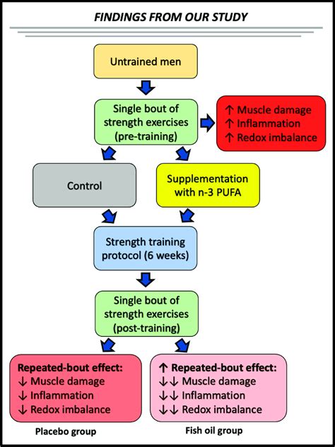 Actions Of N 3 PUFA A And Effects Of N 3 PUFA Supplementation On