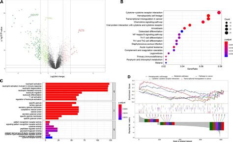 Frontiers Novel Gene Signature Reveals Prognostic Model In Acute